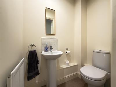 Picture 7